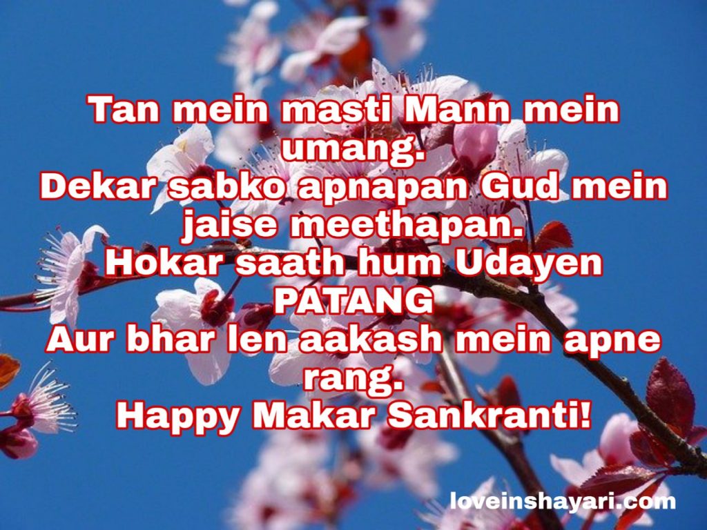 Makar Sankranti shayari in English