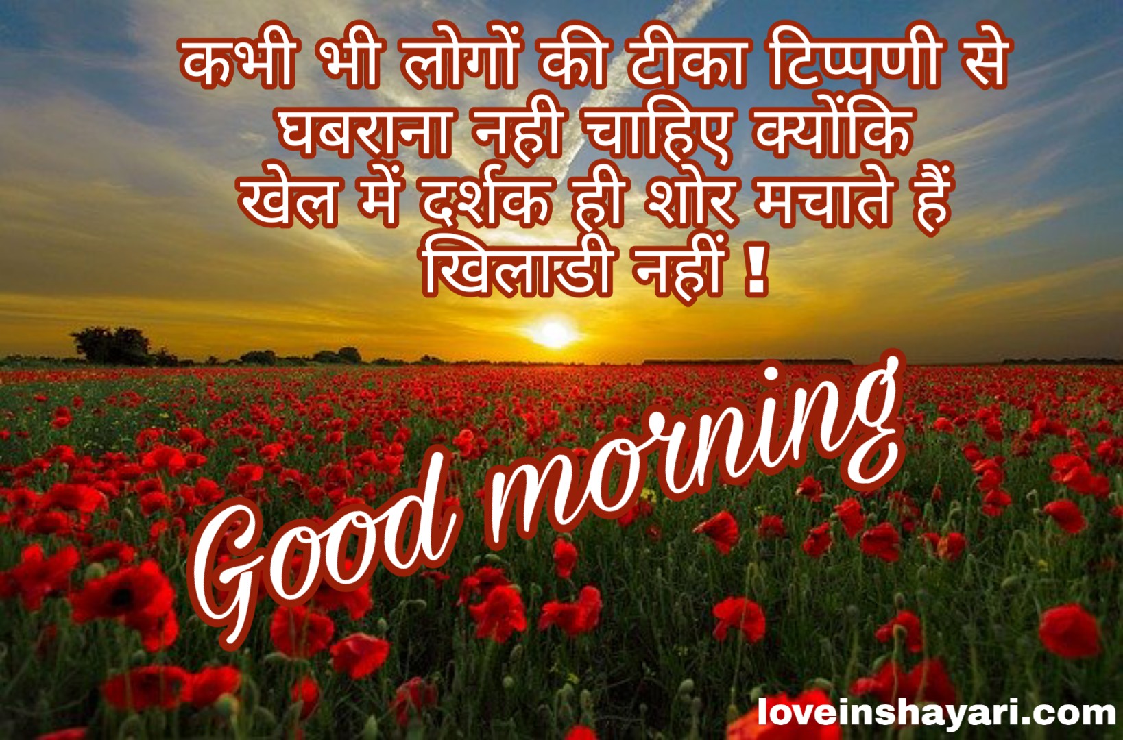 Good morning whatsapp status in hindi 2021 » Love In Shayari