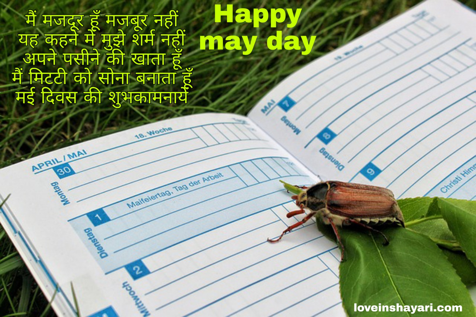 May day wishes shayari quotes messages