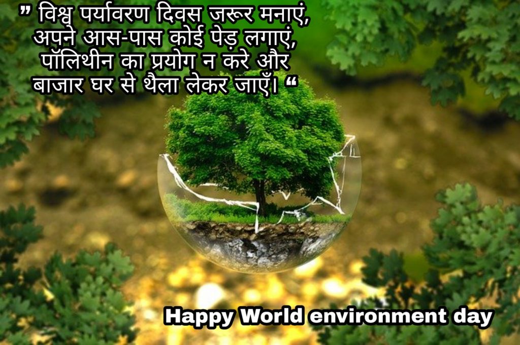 World environment day whatsapp status 2020